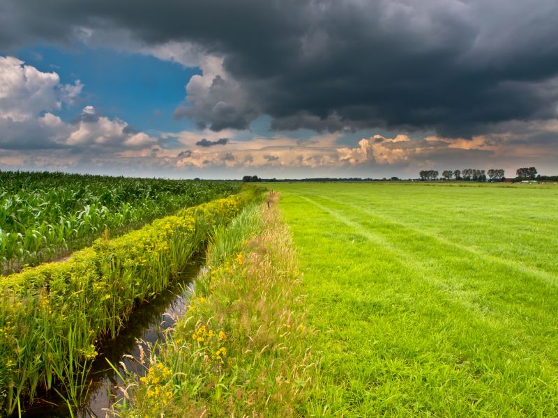 Products For Drainage System Installations in use